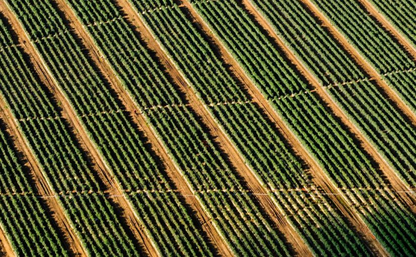 Aspernatur nisi consequatur voluptatum