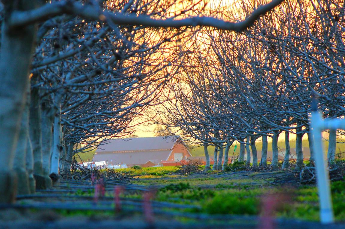 Qui aspernatur doloremque hic quia consequatur ipsam