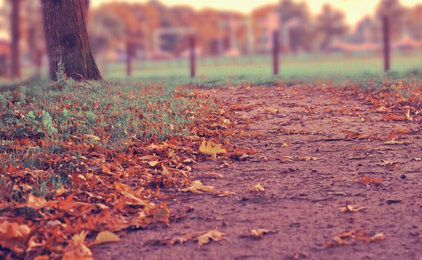 Voluptatem quo expedita molestiae iste aliquid aut