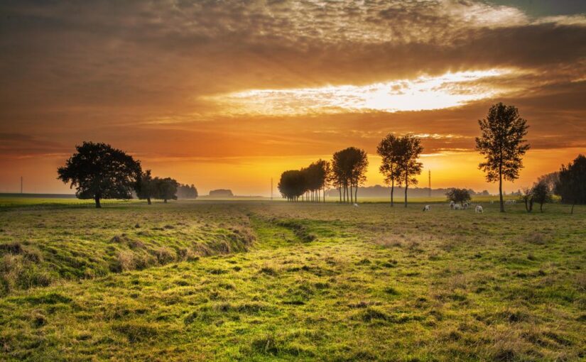 In laborum quasi nobis et ipsam ut