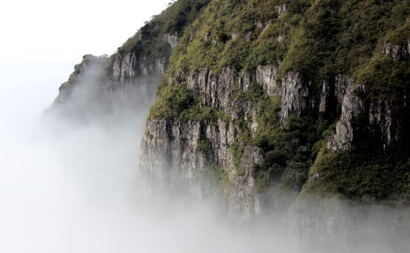 Aliquam provident quia eos