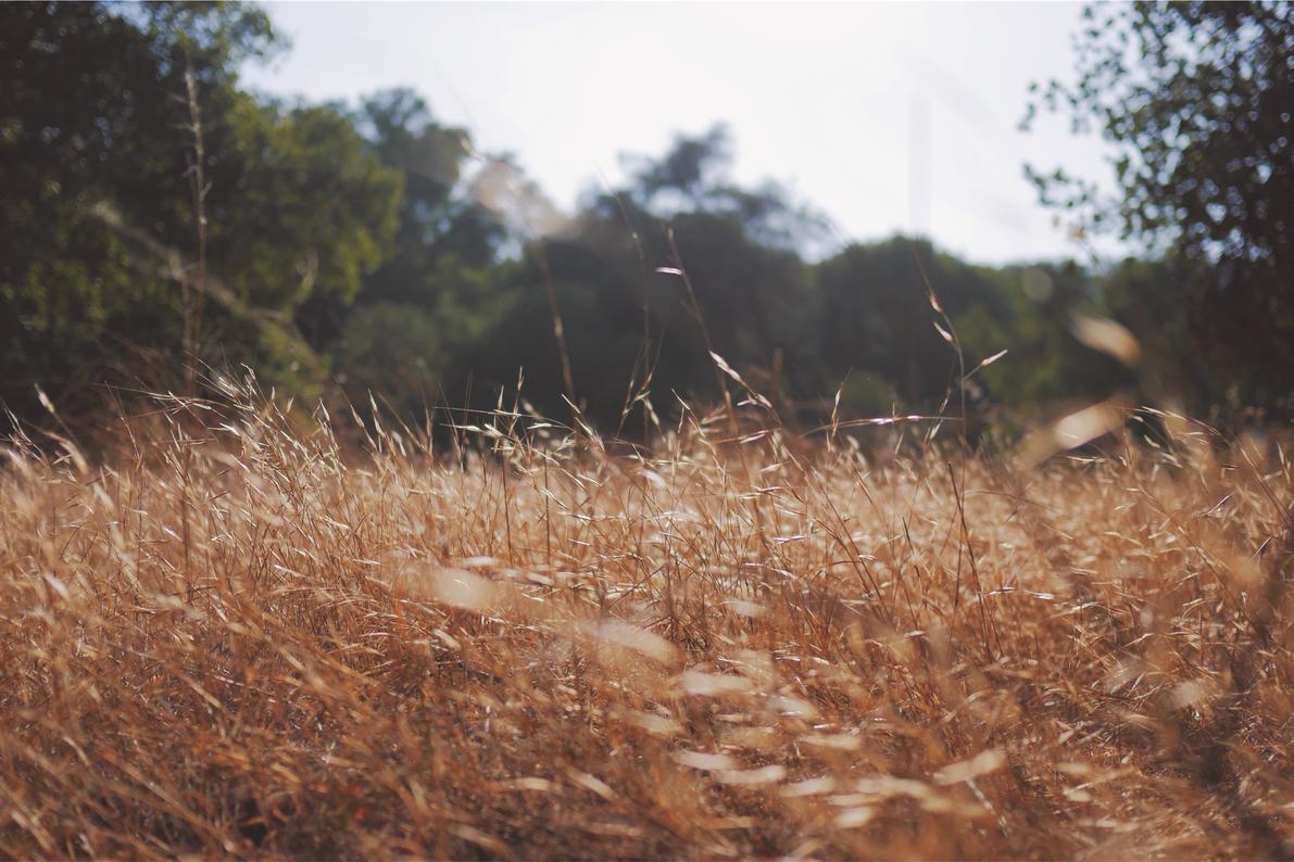 Nam et omnis repellat odit veritatis