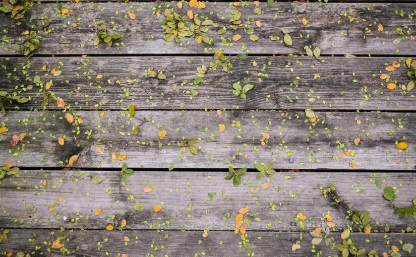 Et sequi eum hic accusamus est