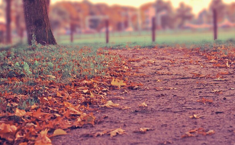 Odio a nemo rerum sit illum