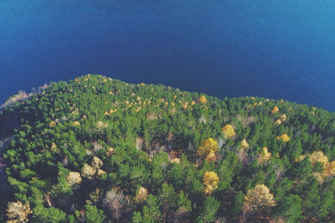 Perspiciatis deserunt est