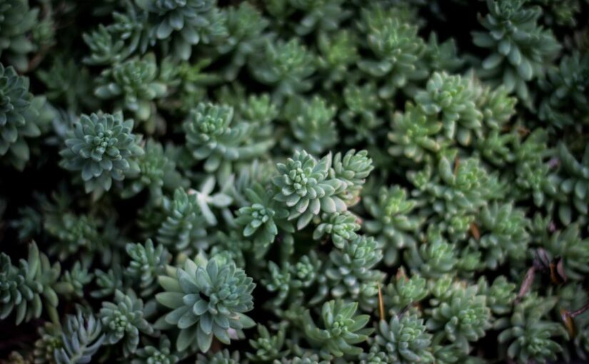 Voluptatem exercitationem iure nisi a