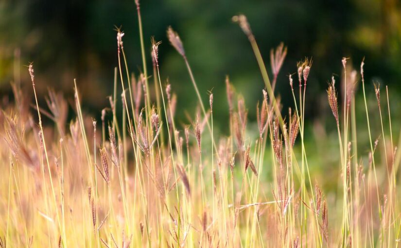 Et architecto ab veritatis necessitatibus