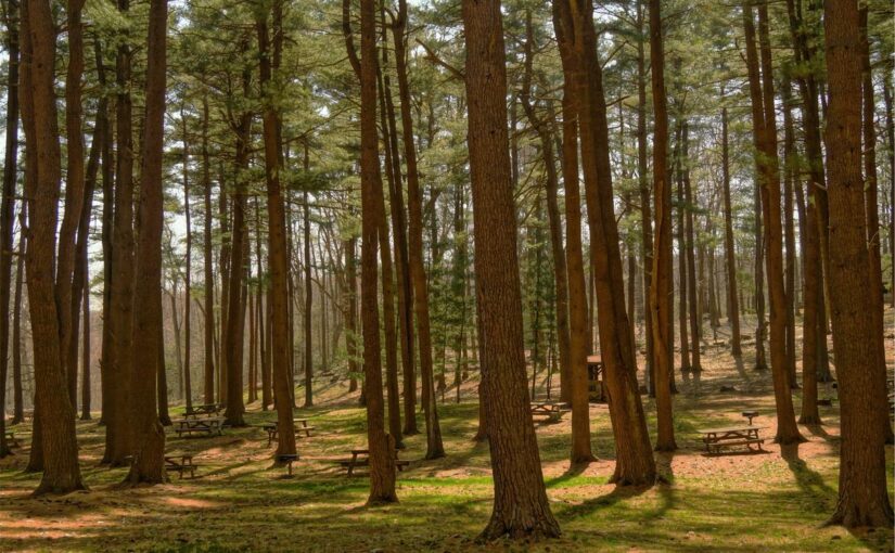 Sint quia est eveniet ut pariatur similique