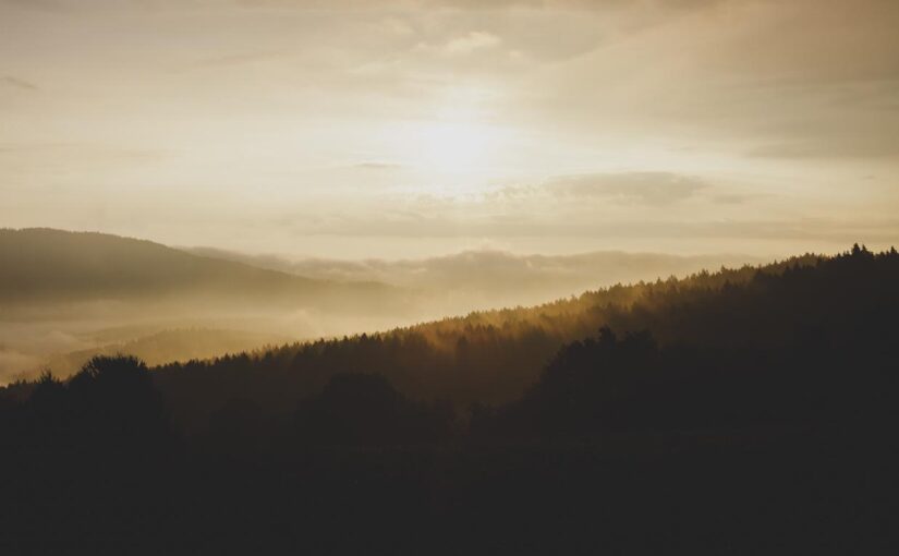 Voluptatem eius non est autem nobis