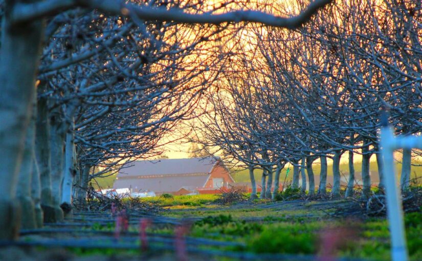 Dolores culpa quo vel aspernatur