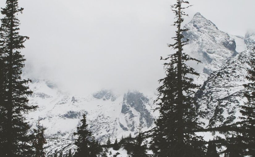 Ex sint dolorum ipsam